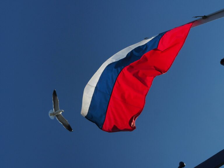 A Russian flag waving alongside a seagull in flight with a clear blue sky backdrop.
